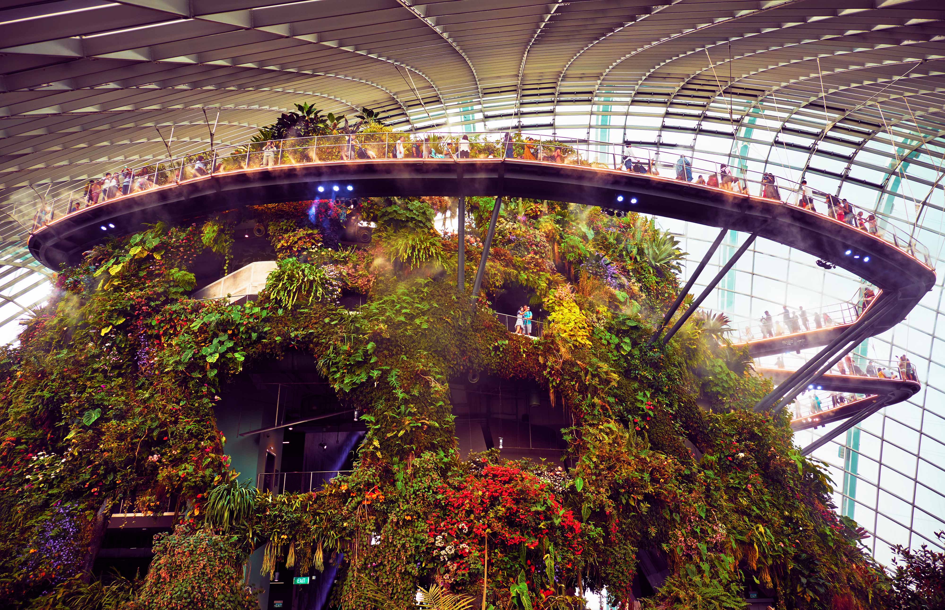 Gardens by the Bay Light Show Tips, Timings & More